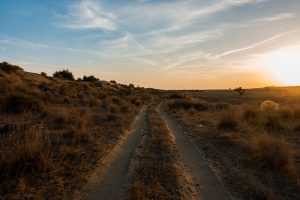 Guided Grounding Meditation