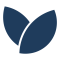 Leaves Icon